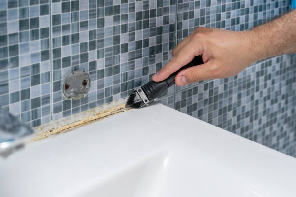 Best Toxic Mold Removal  in Mcloud, OK
