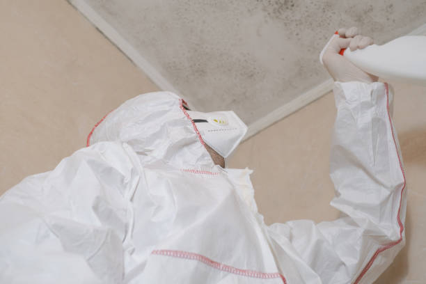 Best Mold Removal Process  in Mcloud, OK