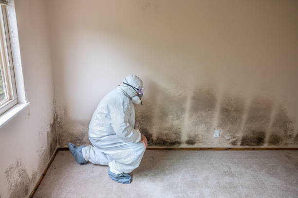 Best Commercial Mold Removal  in Mcloud, OK