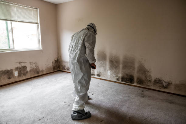 Best Affordable Mold Removal  in Mcloud, OK