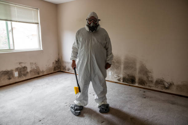 Best Crawl Space Mold Removal  in Mcloud, OK