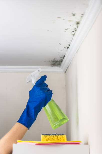 Best Toxic Mold Removal  in Mcloud, OK